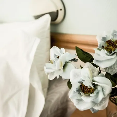 Отель San Pietro Чезенатико