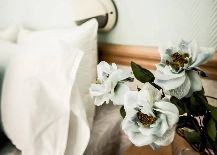 فندق San Pietro تْشيزيناتيكو